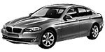 BMW F10 U1594 Fault Code